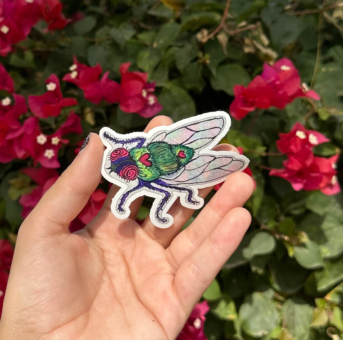 Fly on the wall STICKER